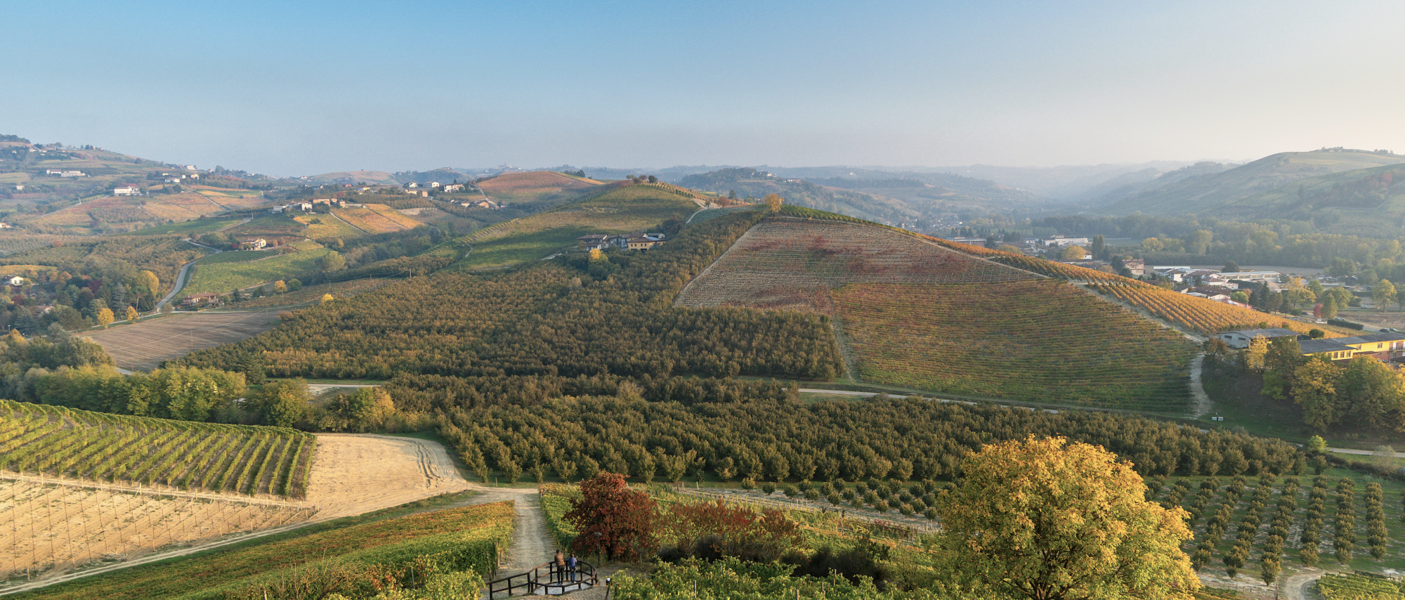 Barolo & Piedmont Buying Guide