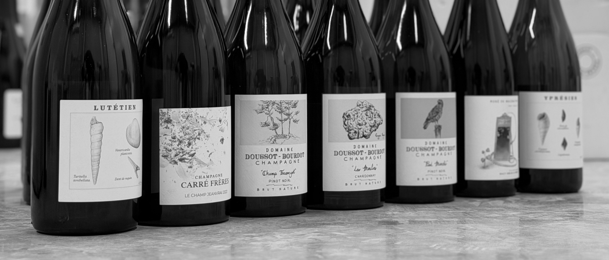 Champagne Buying Guide