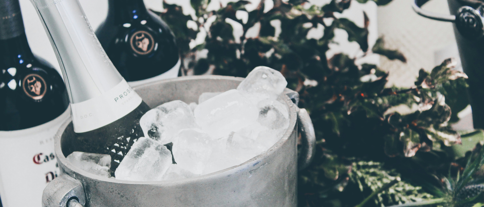 Wine serving temperature: the quiet factor that changes everything