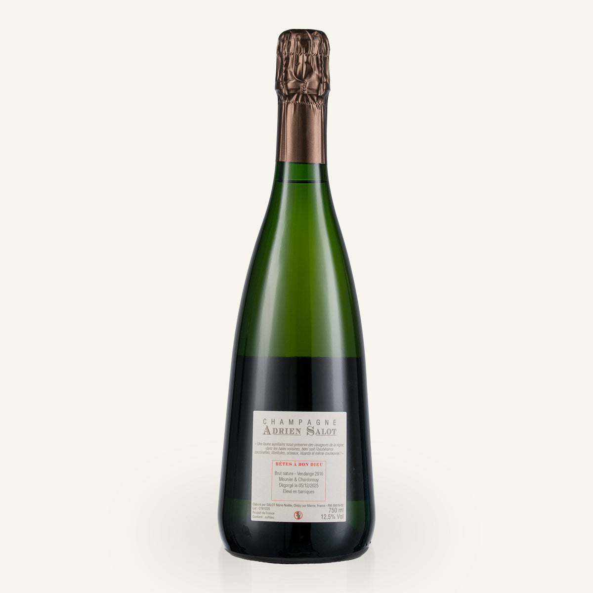 Bêtes à Bon Dieu 2016