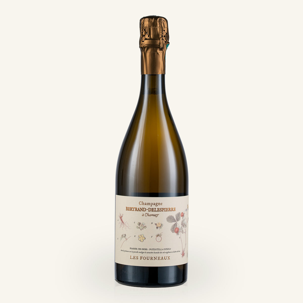 Les Fourneaux 2019