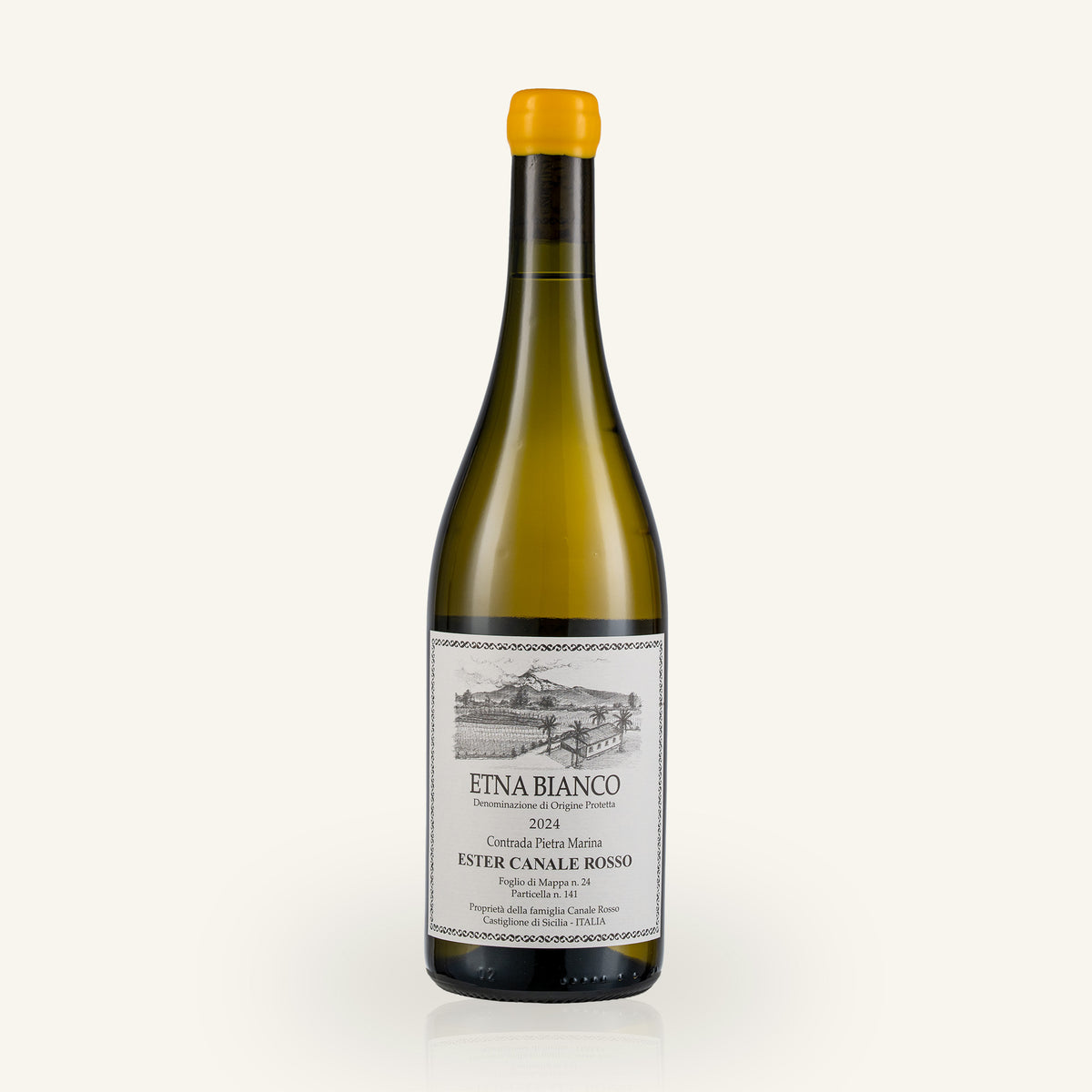 Etna Bianco 2024