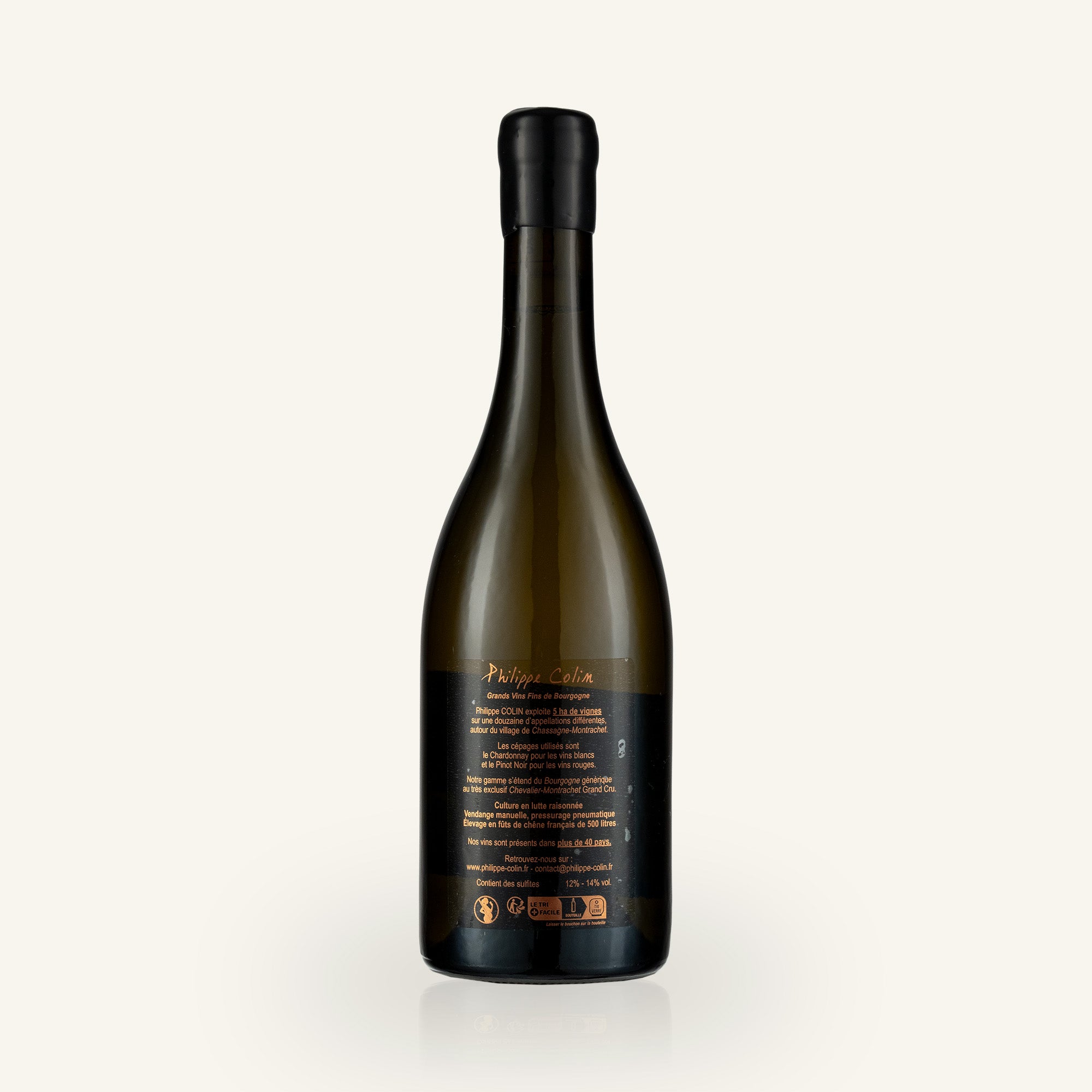 Chassagne-Montrachet 2023